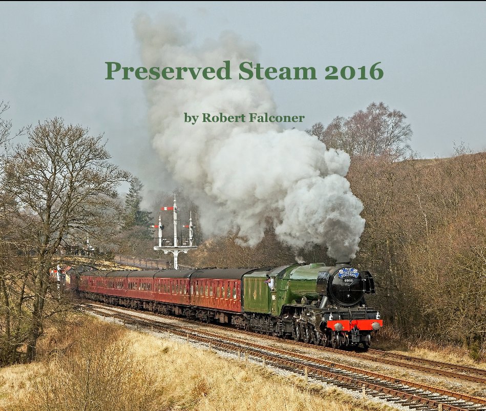 View Preserved Steam 2016 by Robert Falconer