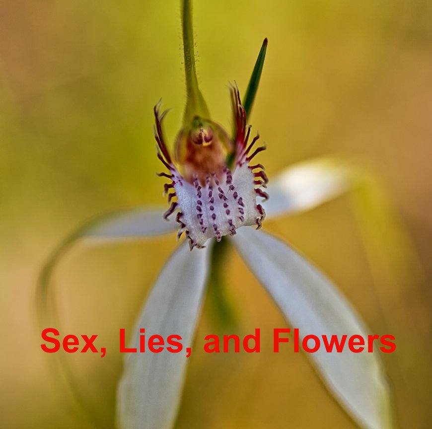 View Sex, Lies, and Flowers by Paul Amyes