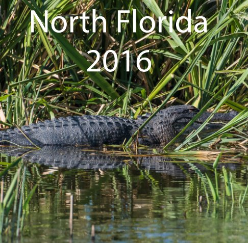 View North Florida 2016 by John Craine