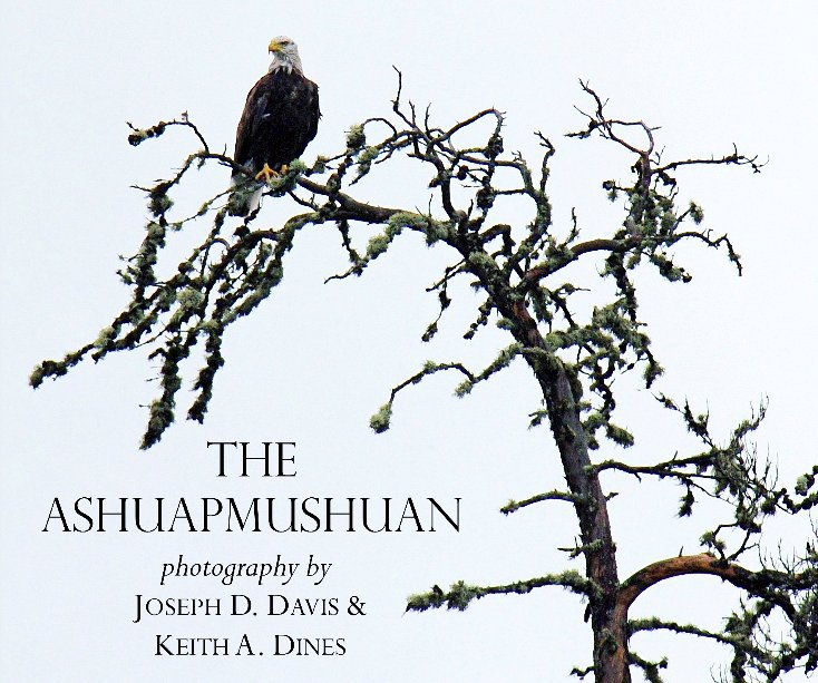View The Ashuapmushuan Preserve by Keith A. Dines & Joseph D. Davis