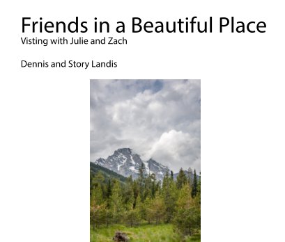 Friends in a Beautiful Place book cover