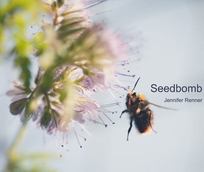 View Seedbomb by Jennifer Renner