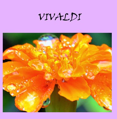 Vivaldi book cover
