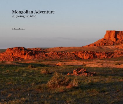 Mongolian Adventure July-August 2016 book cover