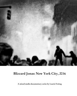 Blizzard Jonas: New York City, 2016 book cover