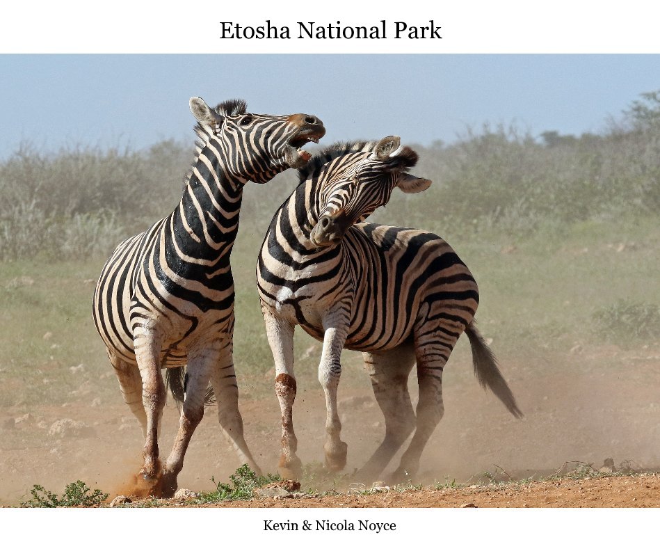 View Etosha National Park by Kevin & Nicola Noyce