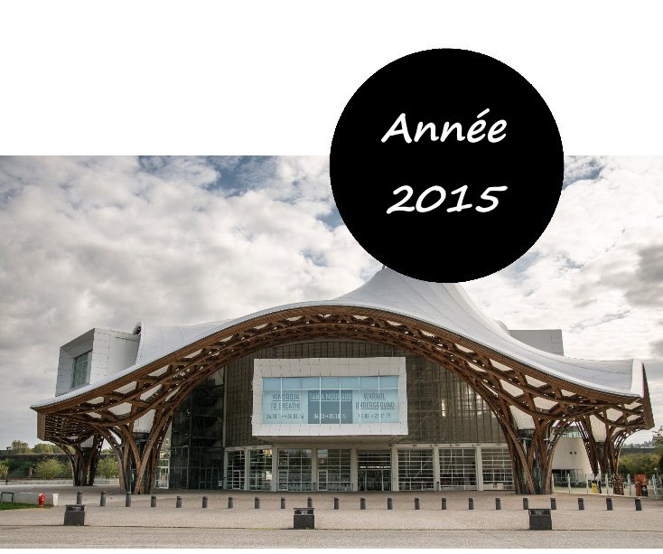 View Année 2015 by Julien Fontaine