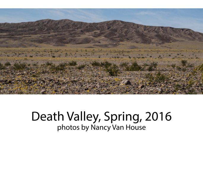View Death Valley by Nancy Van House