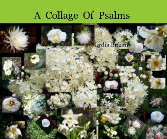 A Collage Of Psalms book cover