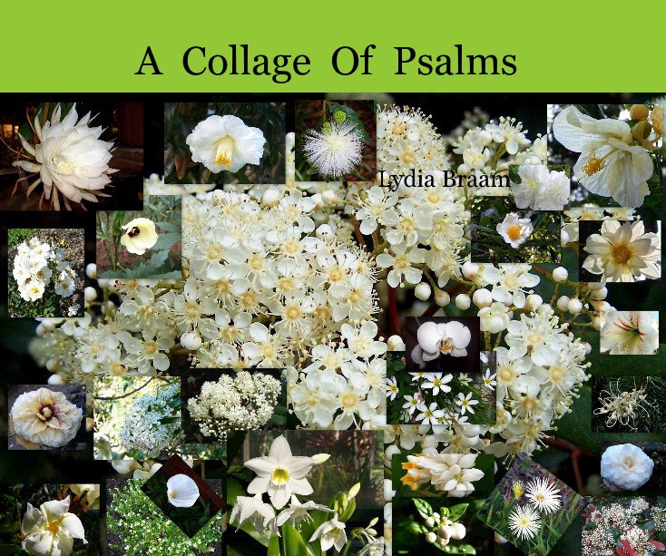 View A Collage Of Psalms by Lydia Braam