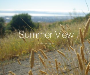 Summer View book cover
