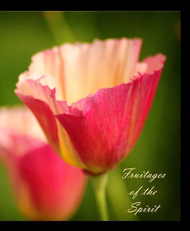 View Fruitages of the Spirit by Tracy Lynn Cahn