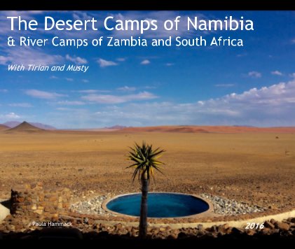 The Desert Camps of Namibia & River Camps of Zambia and South Africa book cover