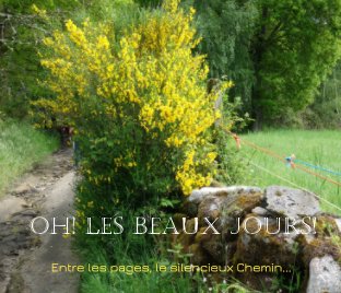 Oh! les beaux jours ! book cover