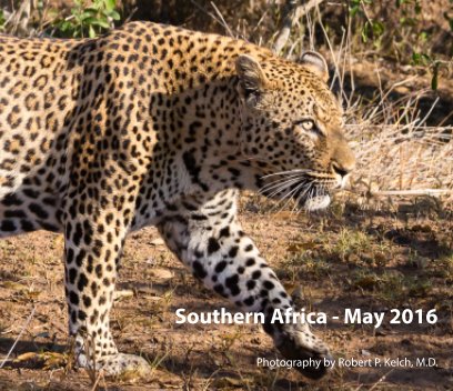 Southern Africa 2016 book cover