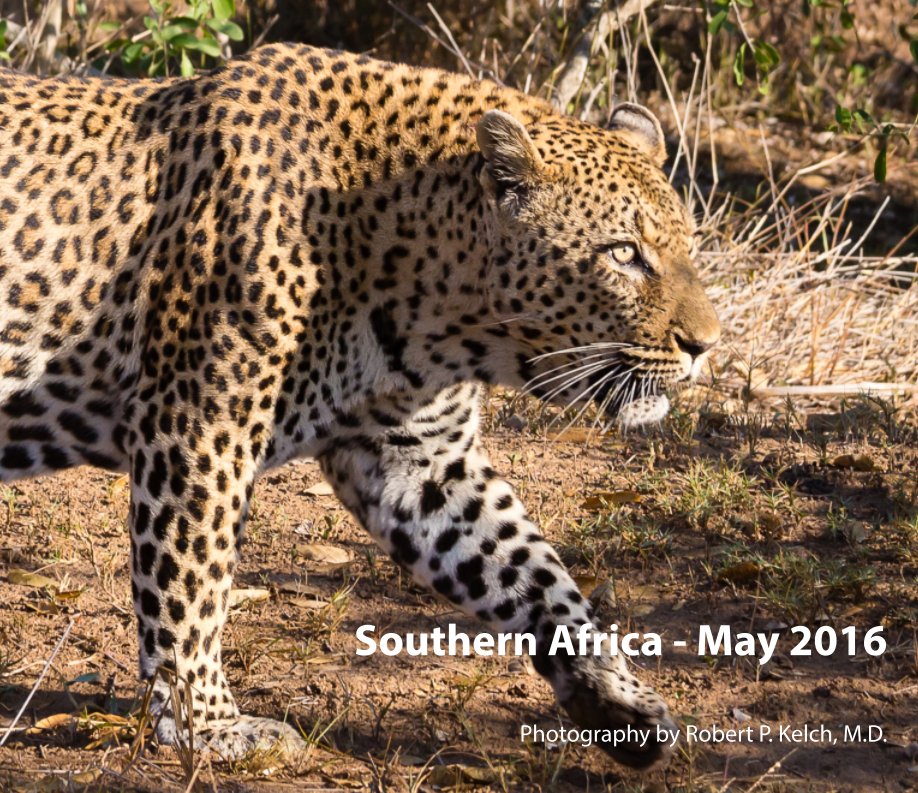 View Southern Africa 2016 by Robert P. Kelch MD