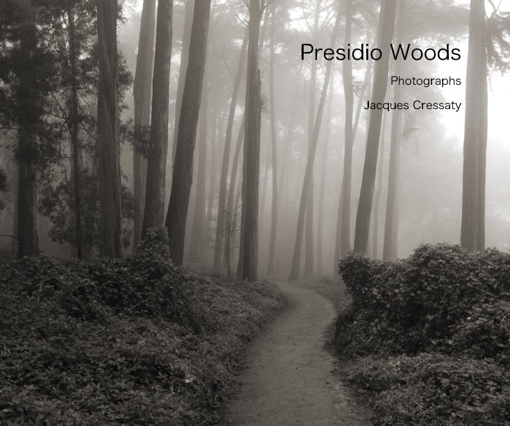 View Presidio Woods by Jacques Cressaty