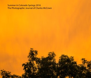 Summer in Colorado Springs 2016 book cover