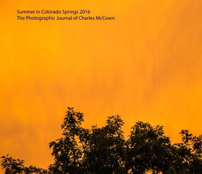 View Summer in Colorado Springs 2016 by Charles McCown