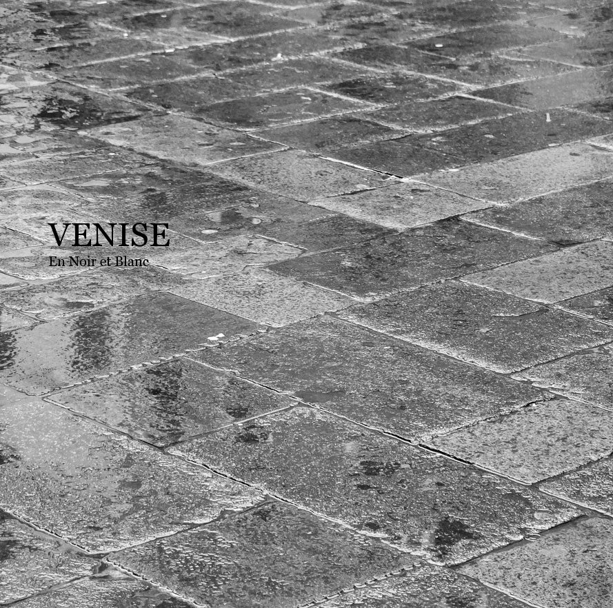 Visualizza VENISE En Noir et Blanc di Fabrice Denis