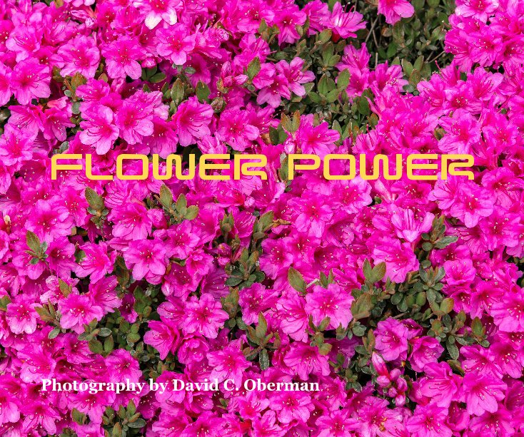 View Flower Power by David C. Oberman
