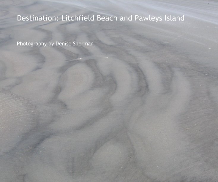 View Destination: Litchfield Beach and Pawleys Island by Denise Sherman