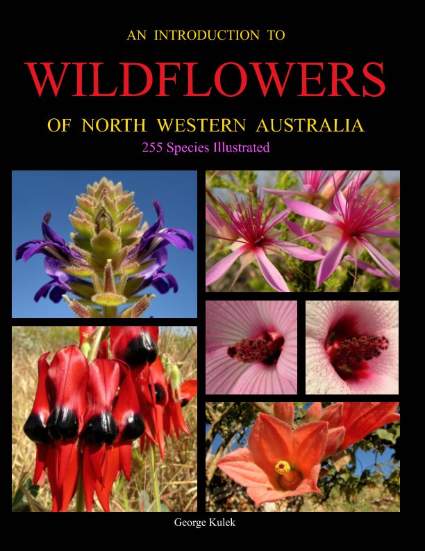 Ver AN INTRODUCTION TO WILDFLOWERS OF NORTH WESTERN AUSTRALIA por George Kulek