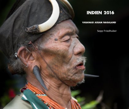 Indien 2016 Varanasi Assam Nagaland book cover