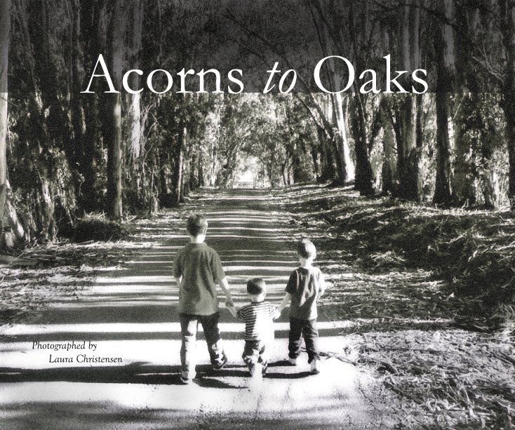 View Acorns to Oaks by Photographed by Laura Christensen