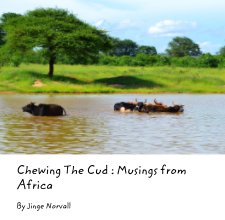 Chewing The Cud : Musings from Africa book cover