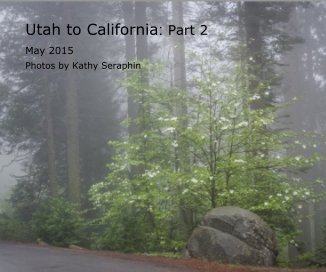 Utah to California: Part 2 book cover