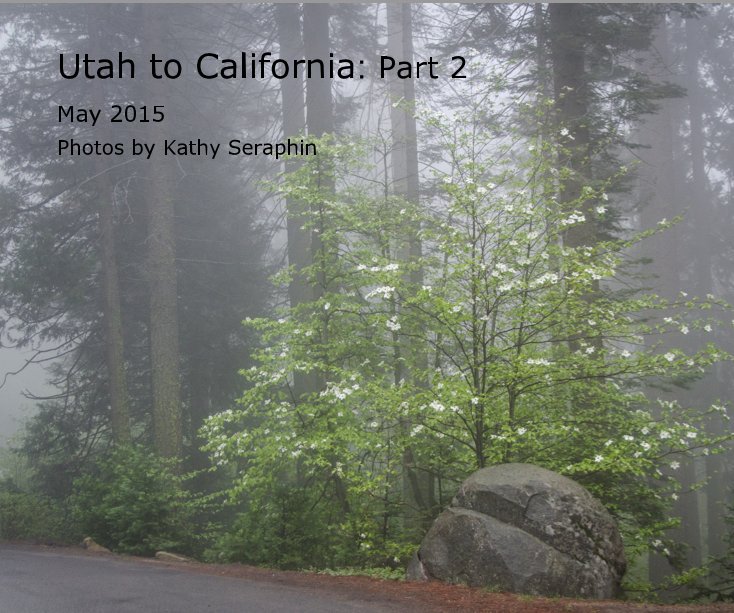 View Utah to California: Part 2 by Photos by Kathy Seraphin