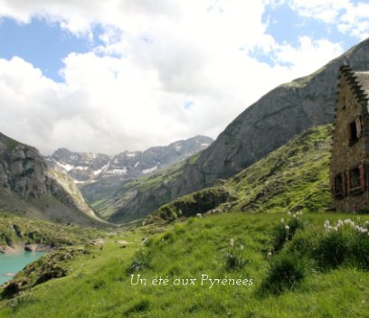 Un été aux Pyrénées book cover