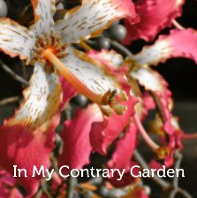 In My Contrary Garden book cover