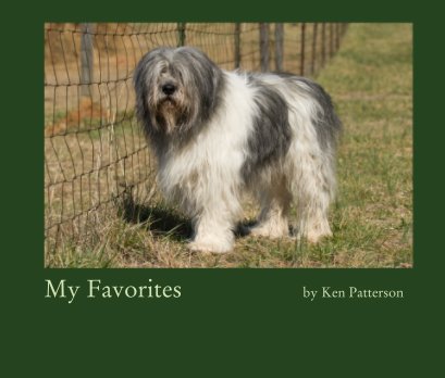 My Favorites                    by Ken Patterson book cover