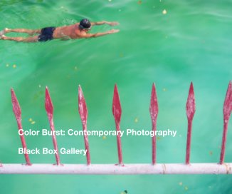 Color Burst: Contemporary Photography book cover