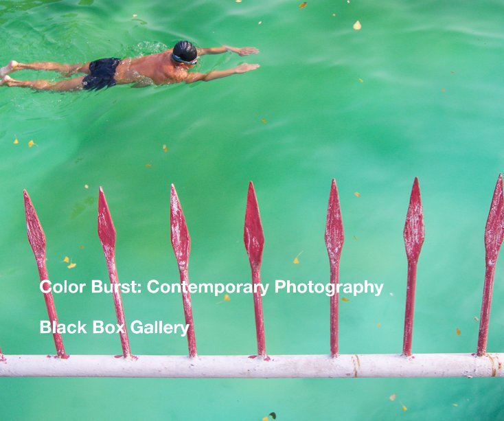 Ver Color Burst: Contemporary Photography por Black Box Gallery