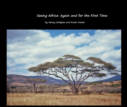 Seeing Africa: Again and for the First Time book cover