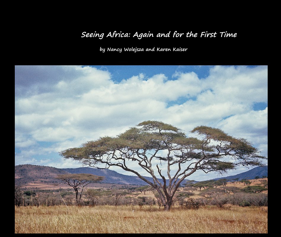 Ver Seeing Africa: Again and for the First Time por Nancy Wolejsza and Karen Kaiser