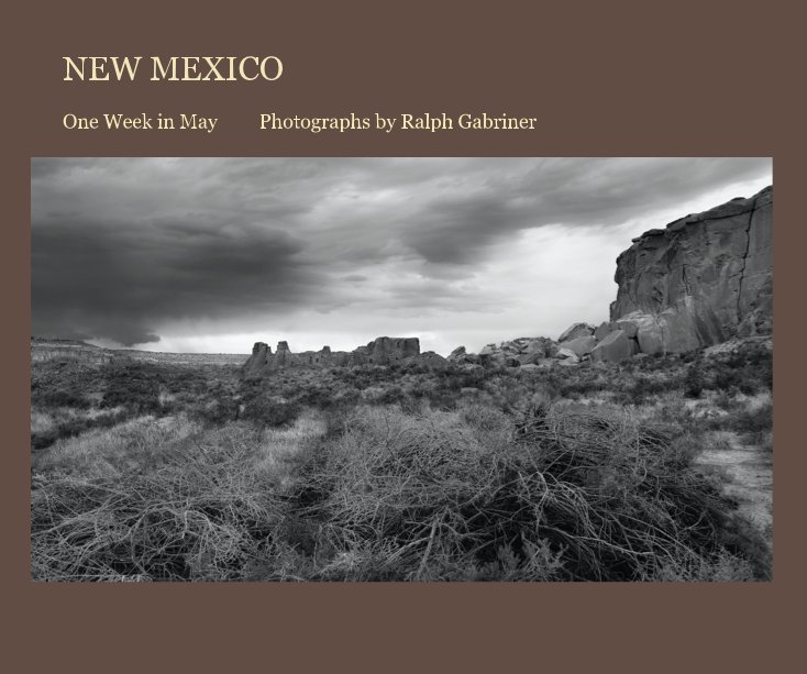View NEW MEXICO by Ralph Gabriner