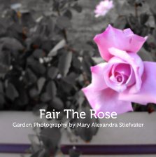 Fair The Rose book cover