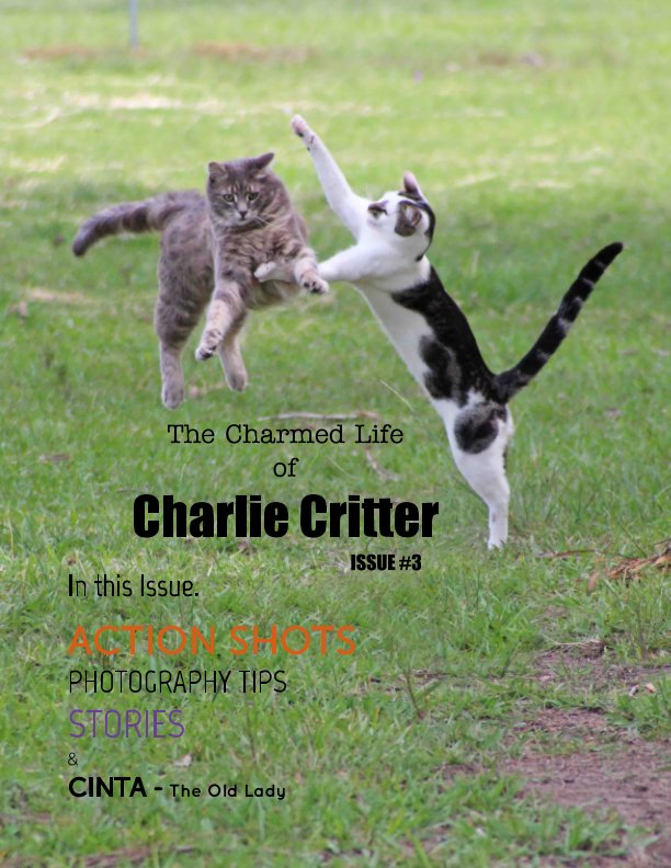 View The Charmed Life of Charlie Critter by Amanda Andrews