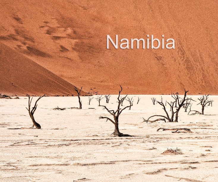 View Namibia by Alan Brown
