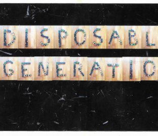 Disposable Generation book cover