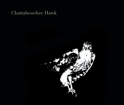 Chattahoochee Hawk book cover