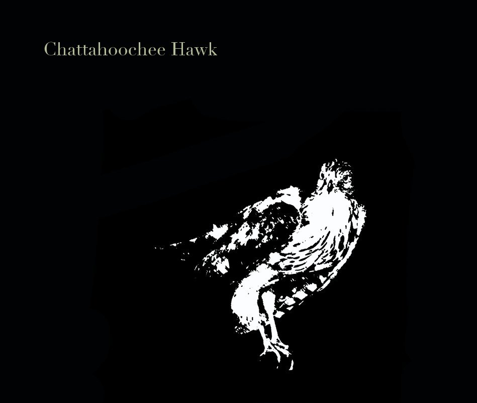 View Chattahoochee Hawk by Mara Adamitz Scrupe