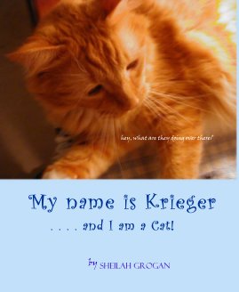 My name is Krieger . . . . and I am a Cat! book cover
