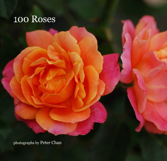 View 100 Roses by Peter Chan