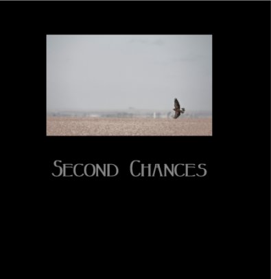 Second Chances book cover
