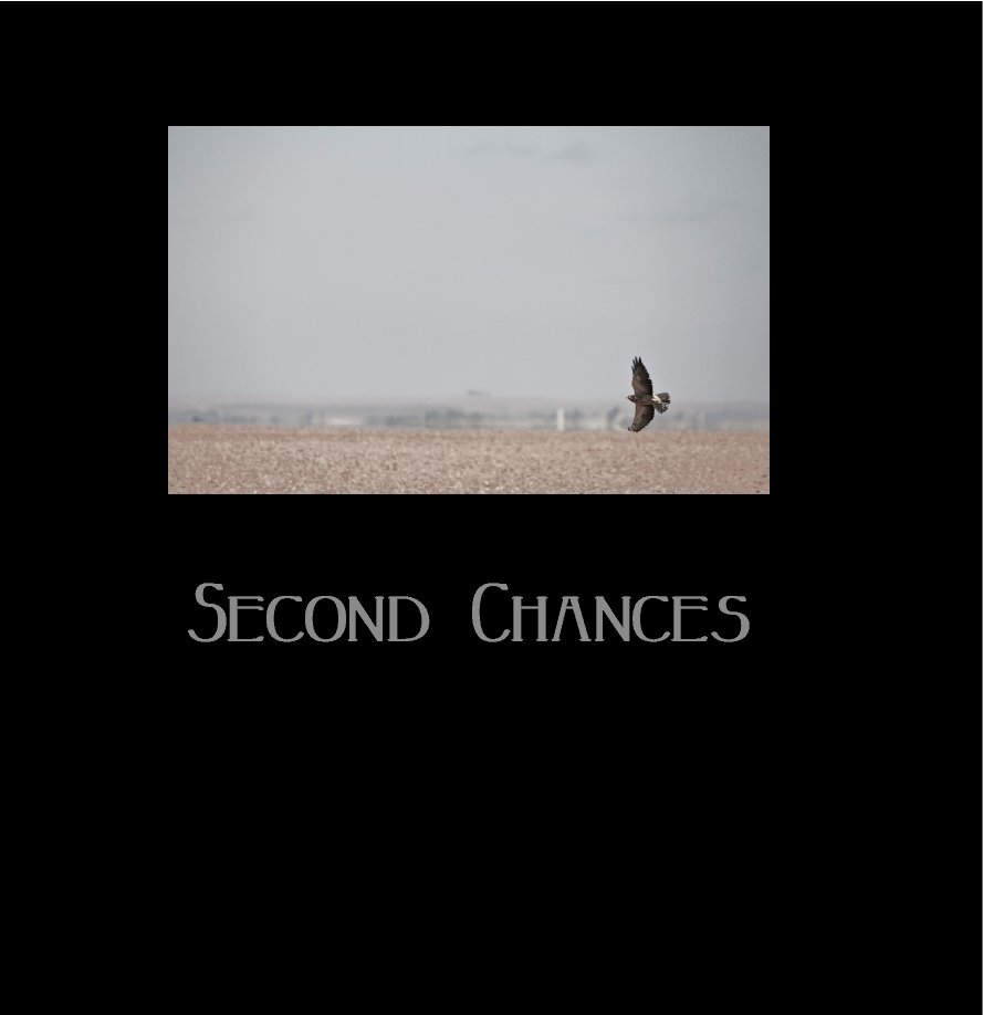 View Second Chances by Berkley Bedell